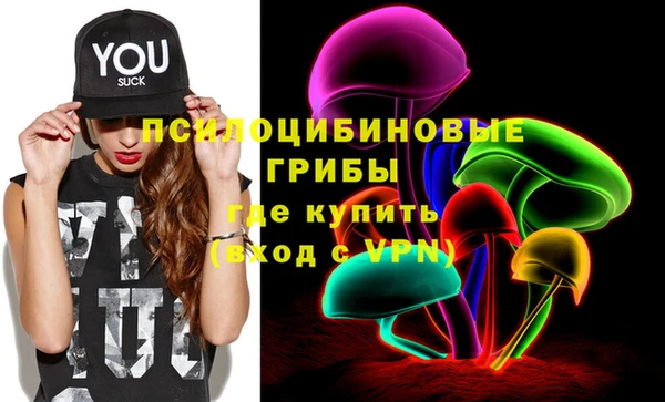 Альфа ПВП Сосновый Бор
