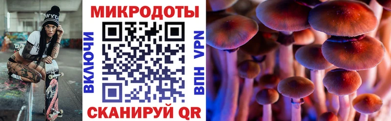 Псилоцибиновые грибы мицелий  Назарово 