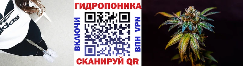 Каннабис индика  Назарово 